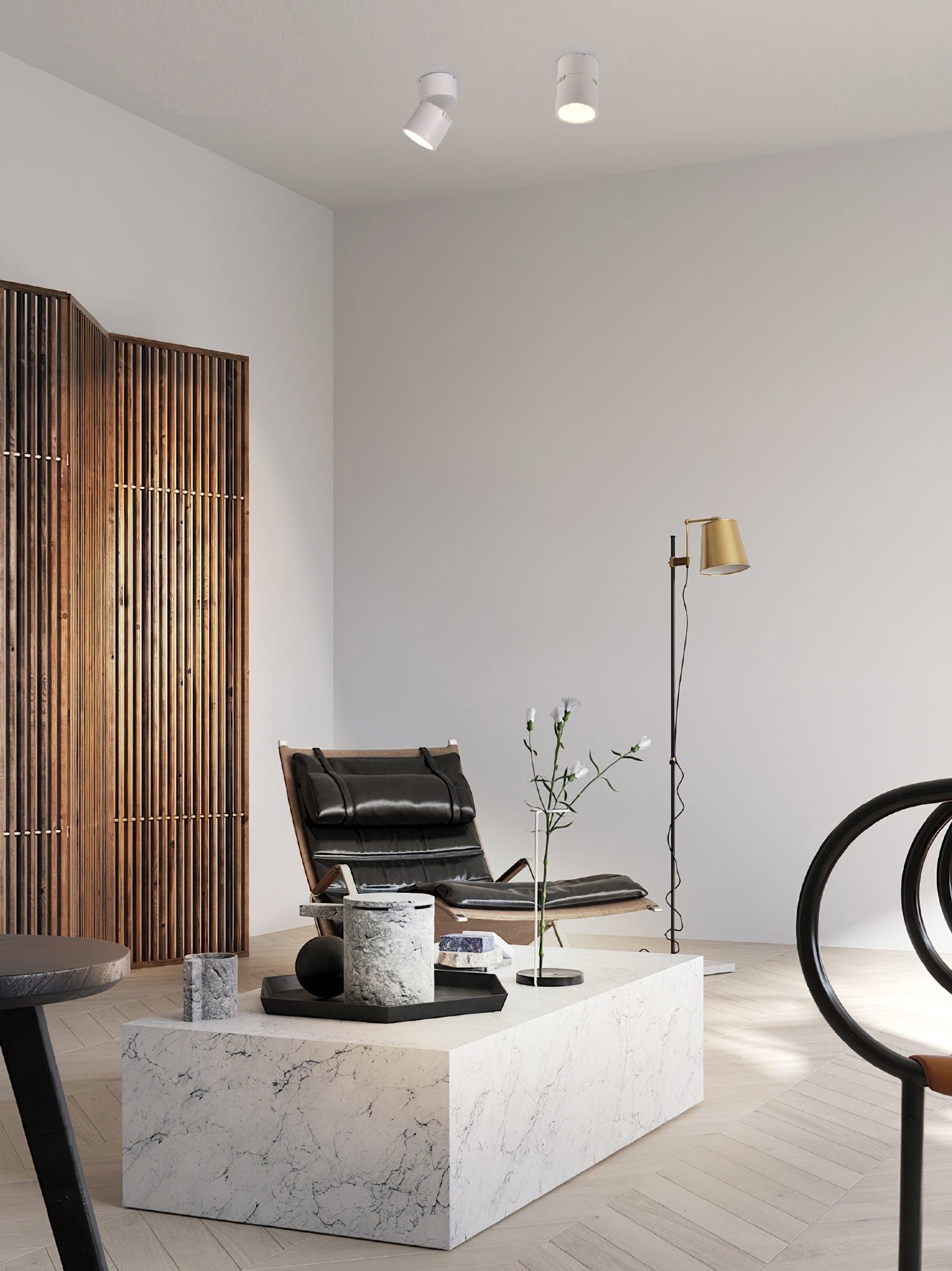 Alvynora Modern Minimalist Spotlights Ceiling lamp