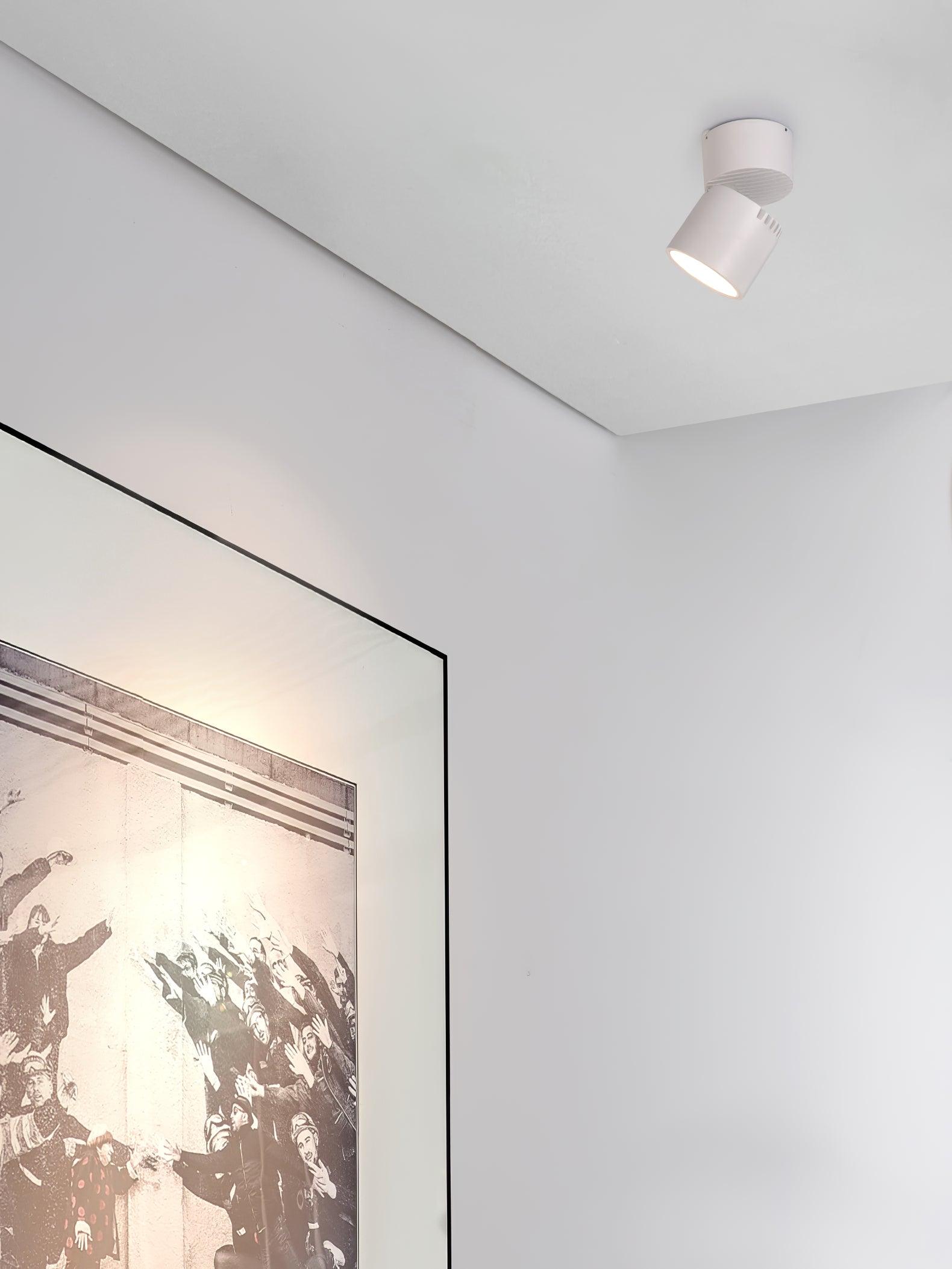 Alvynora Modern Minimalist Spotlights Ceiling lamp