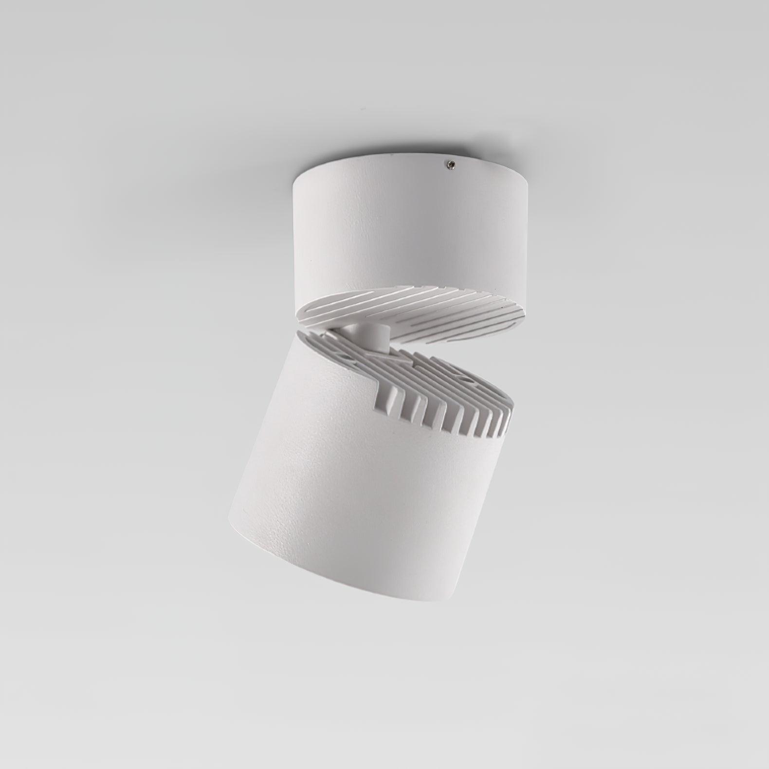 Alvynora Modern Minimalist Spotlights Ceiling lamp