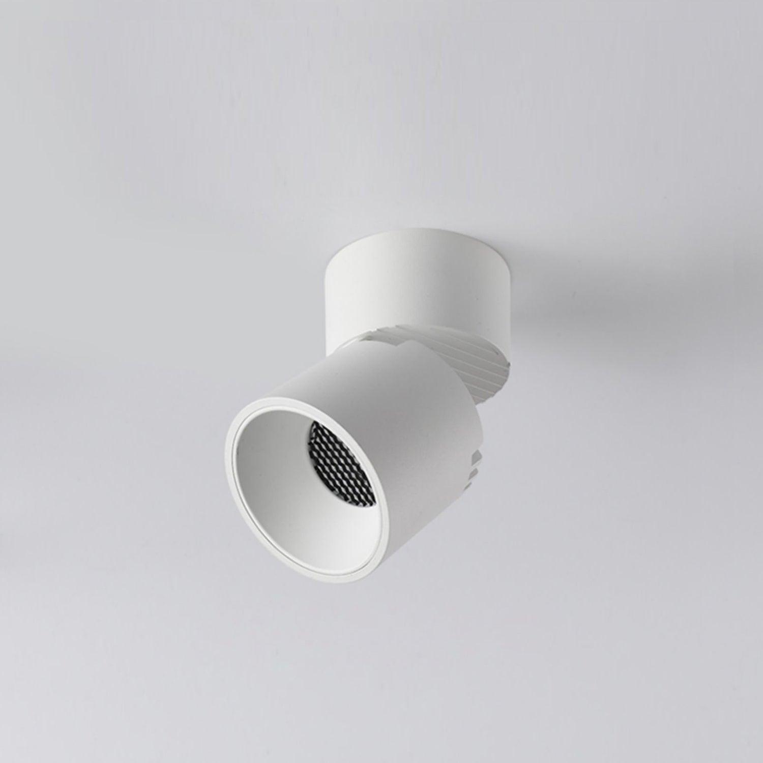 Alvynora Modern Minimalist Spotlights Ceiling lamp