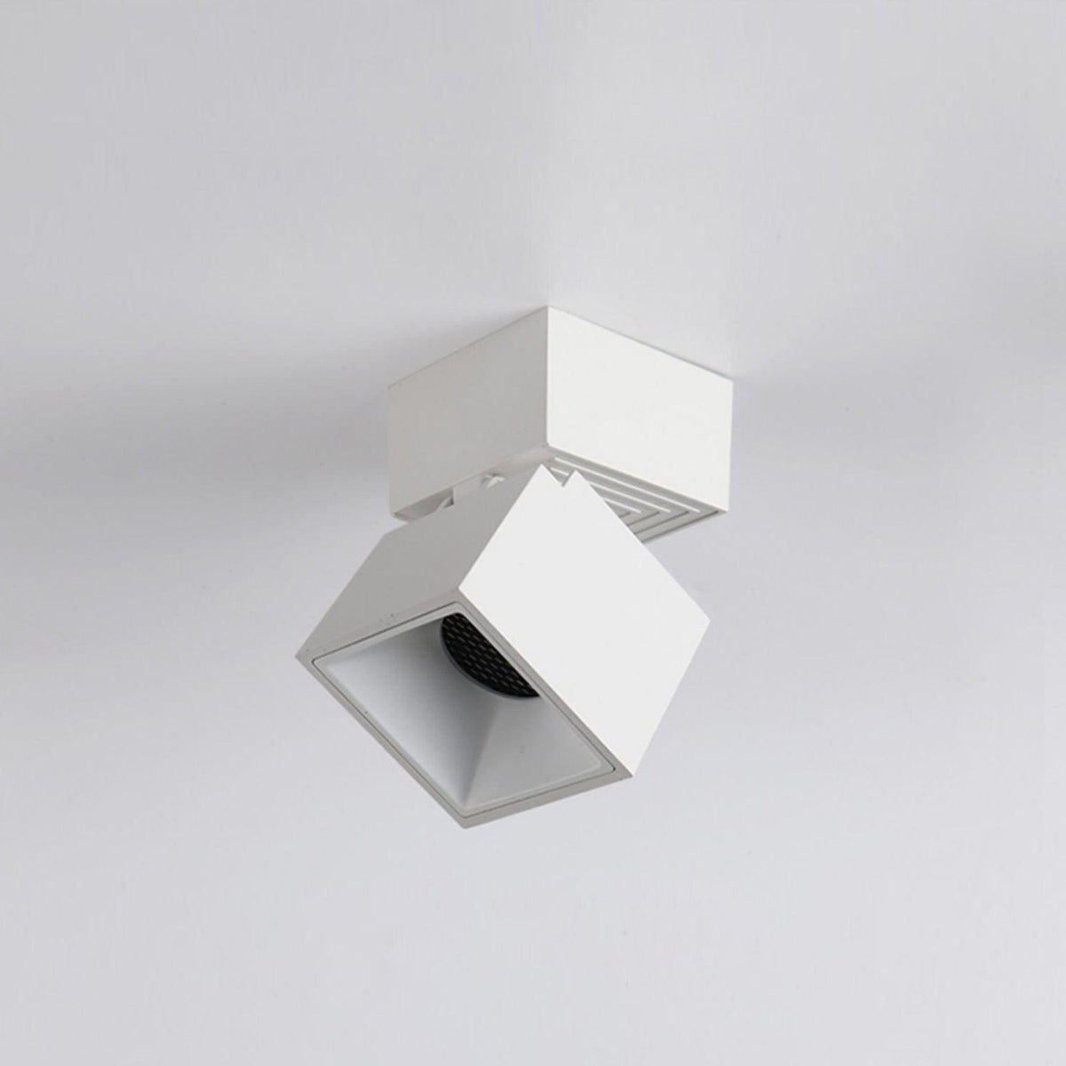 Alvynora Modern Minimalist Spotlights Ceiling lamp