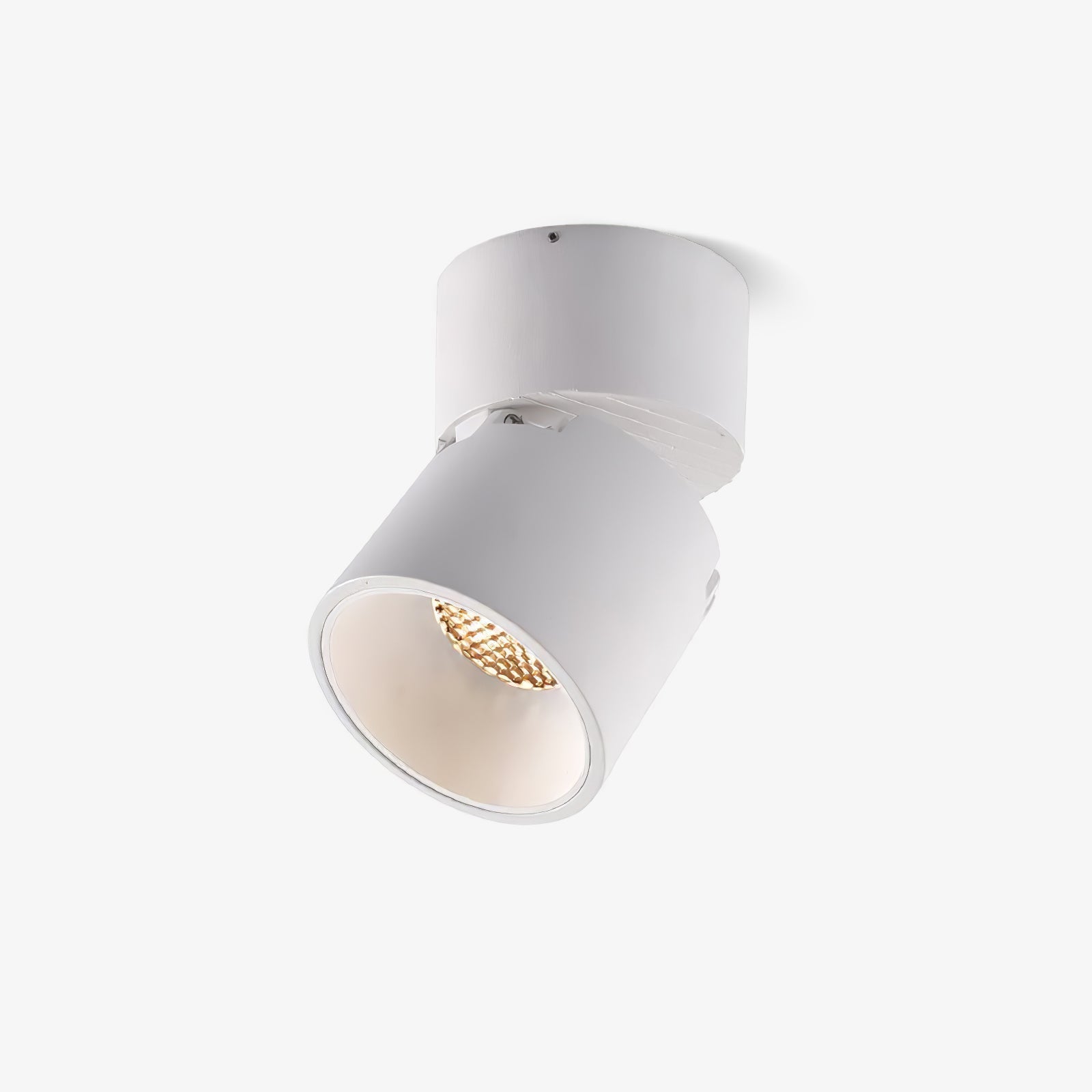 Alvynora Modern Minimalist Spotlights Ceiling lamp