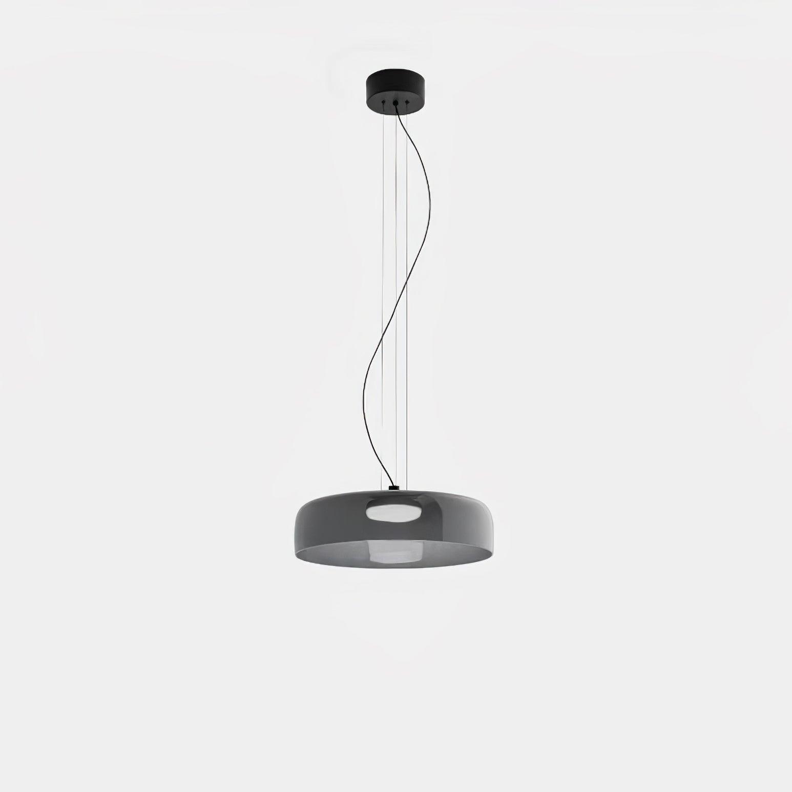 Renivine Industrial Pendant Light