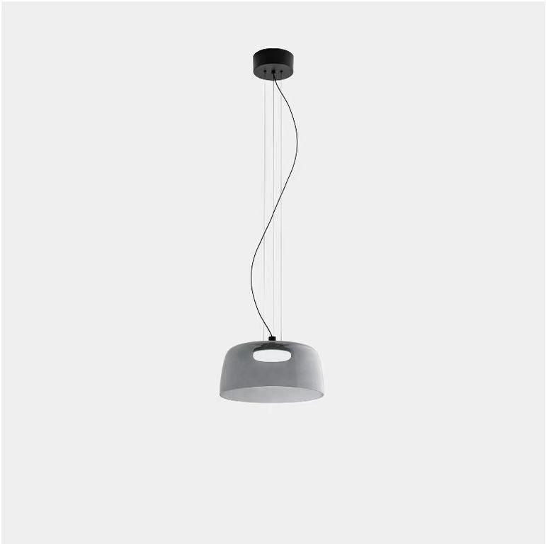 Renivine Industrial Pendant Light