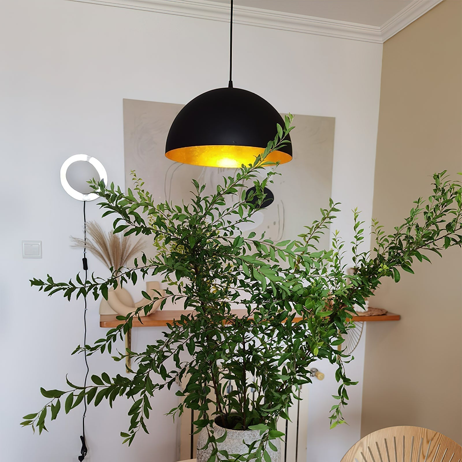 Aphais Pendant Lamp