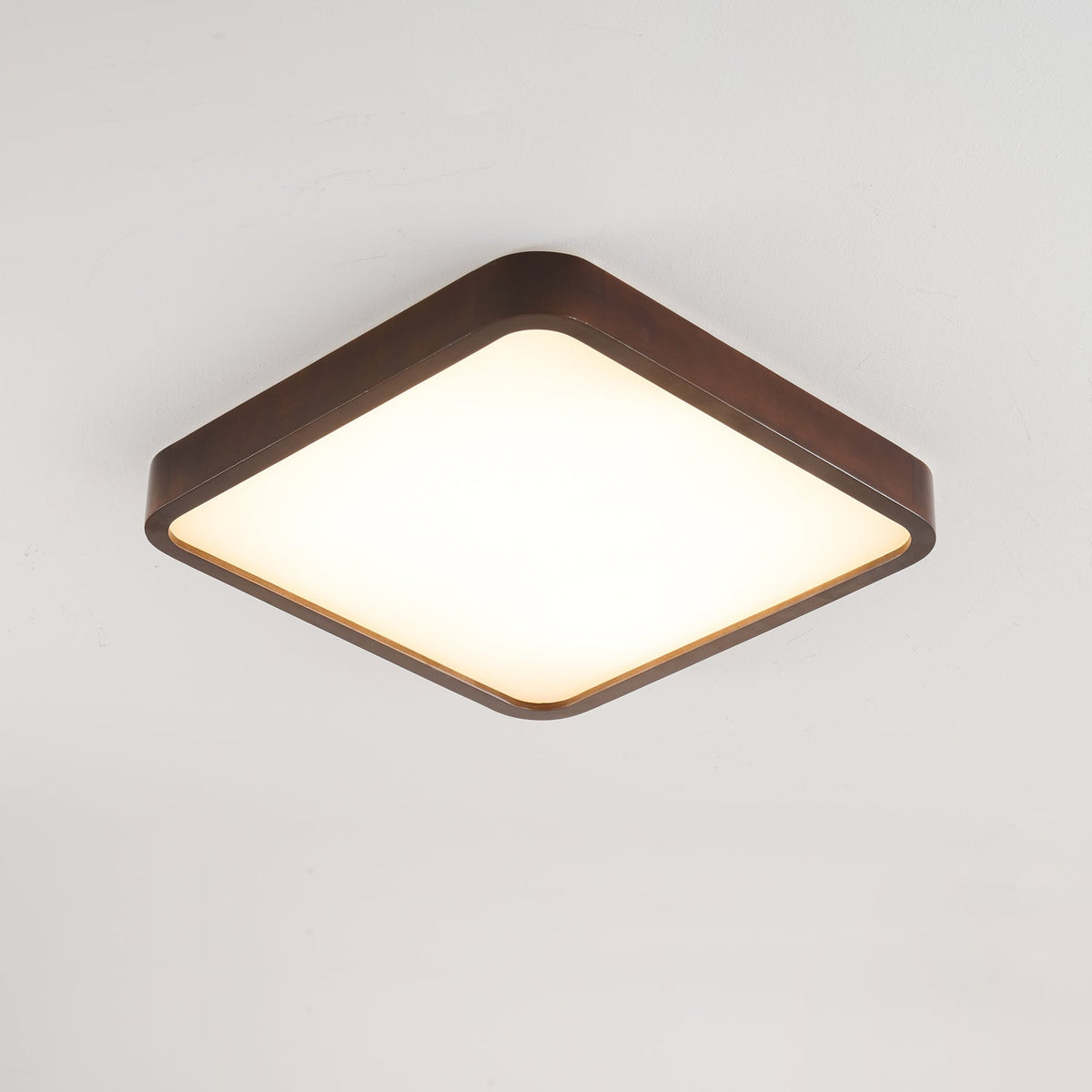 Rinirel Modern Minimalist Rectangular Wood Ceiling Light