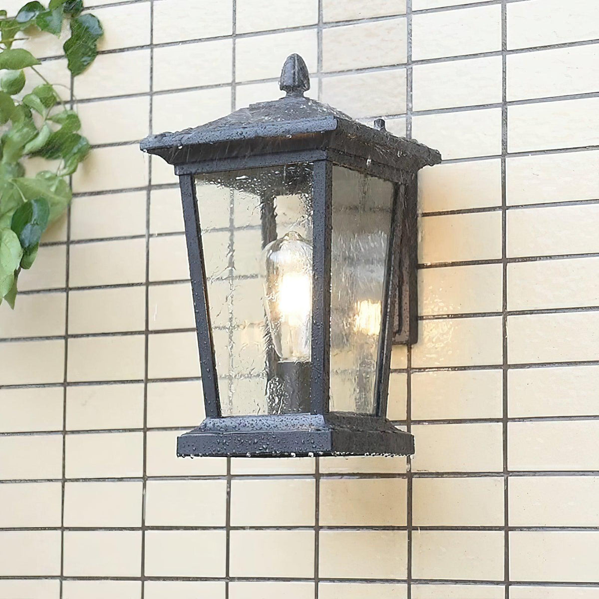 Edwin Birdcage Elegance Glass Outdoor Wall Lamp