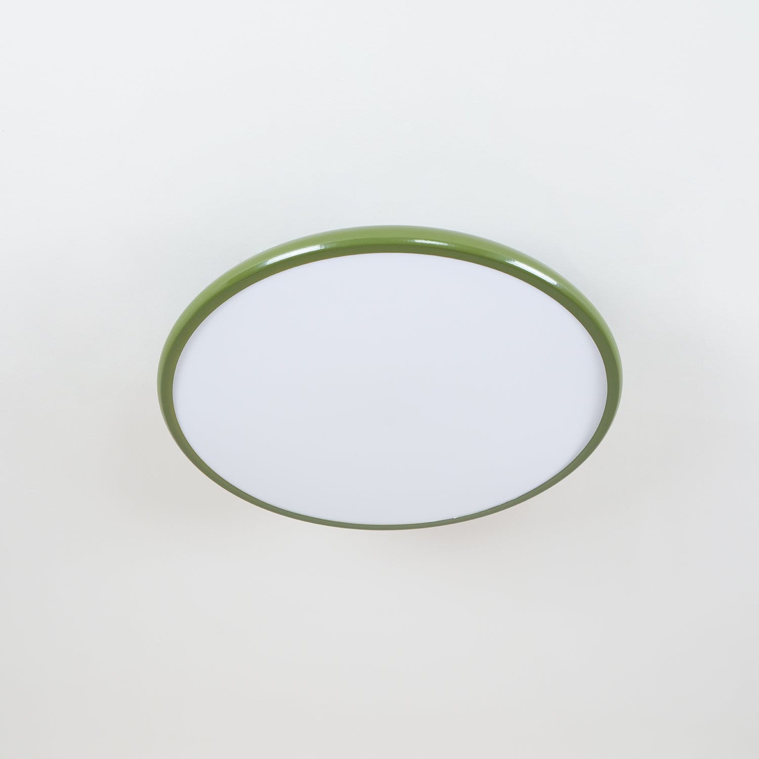 Elmsfield Adjustable Flush Mount Ceiling Light