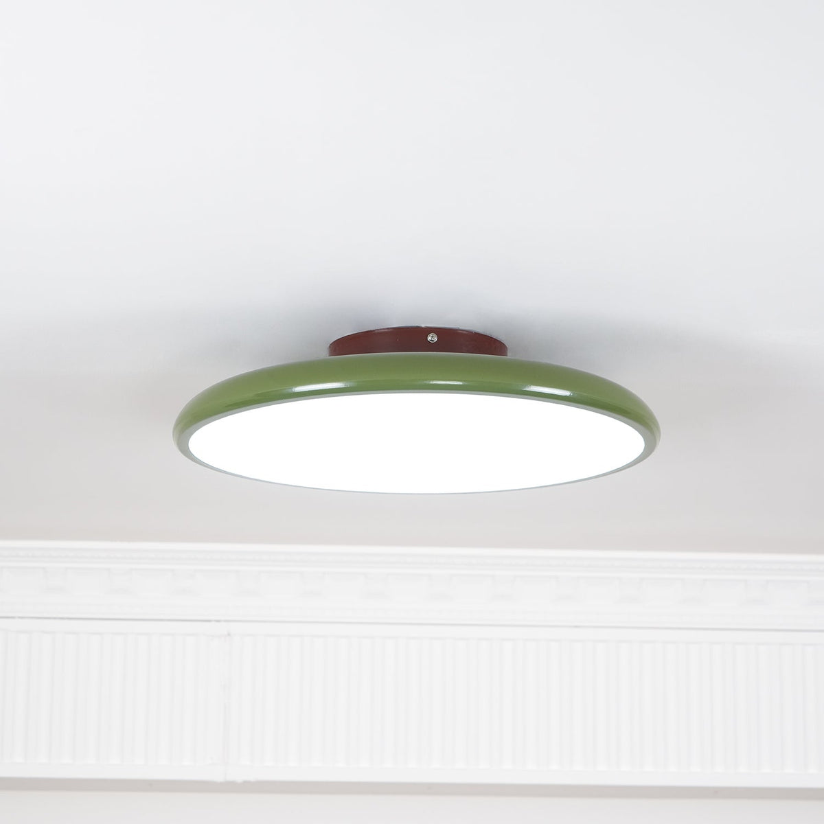 Elmsfield Adjustable Flush Mount Ceiling Light