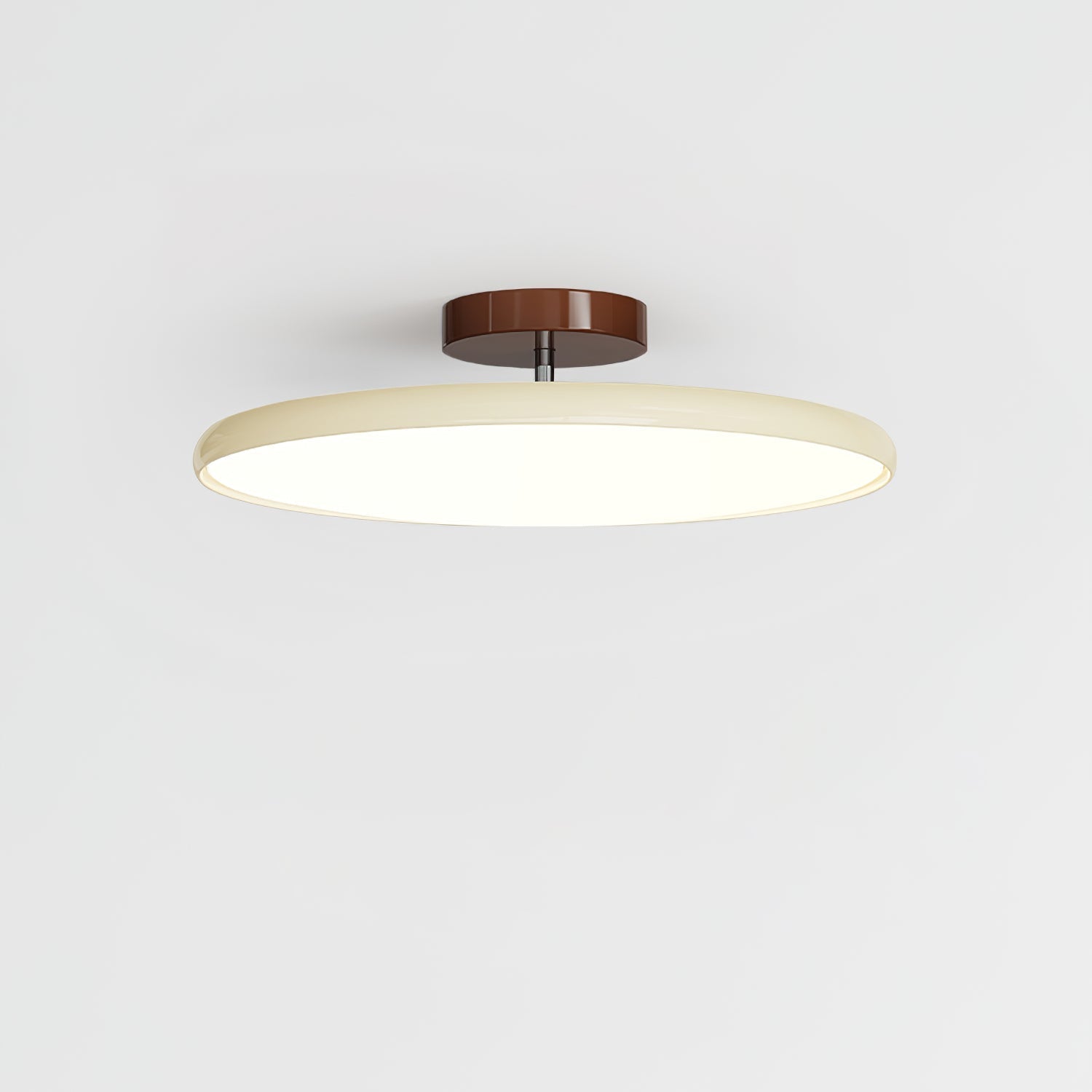Elmsfield Adjustable Flush Mount Ceiling Light