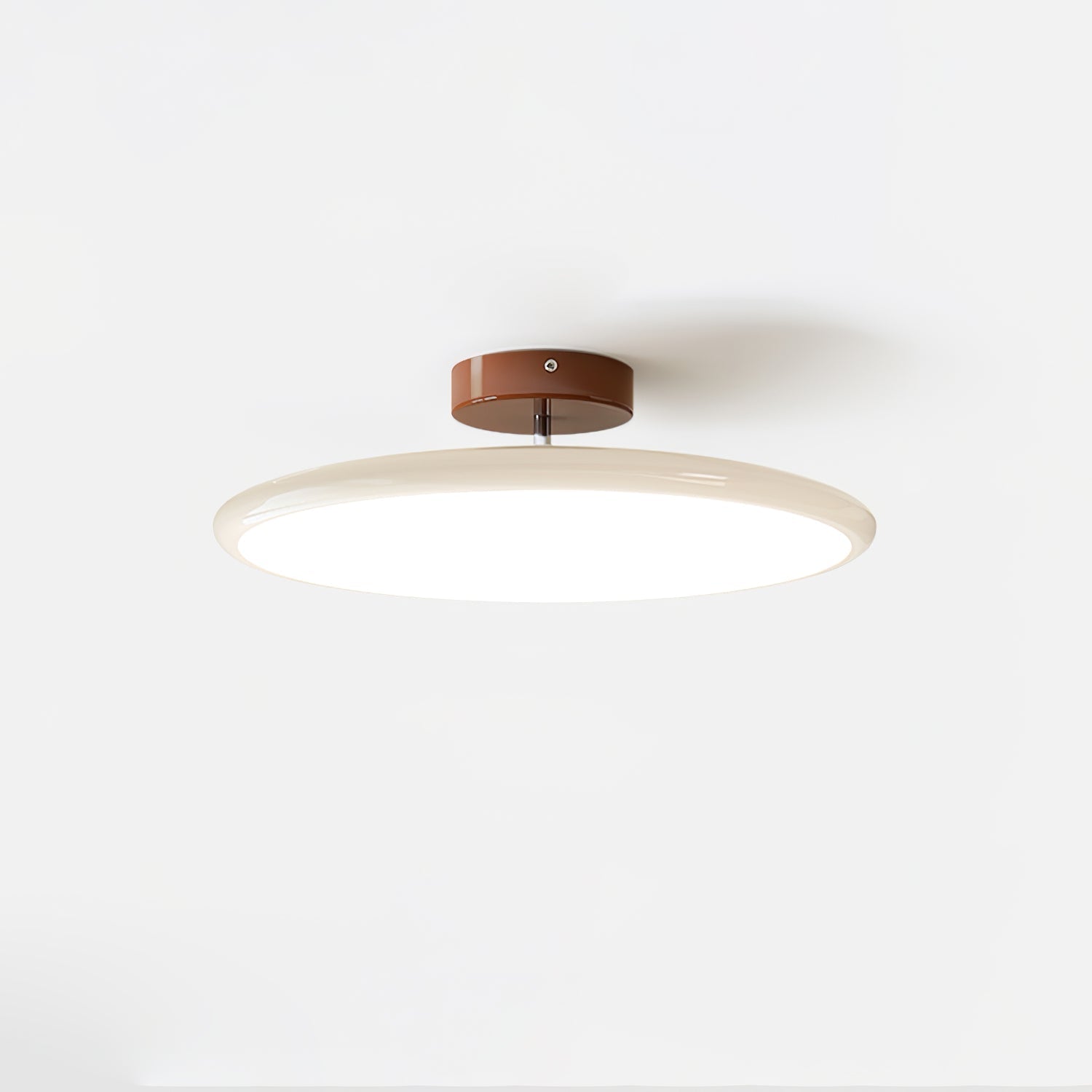 Elmsfield Adjustable Flush Mount Ceiling Light