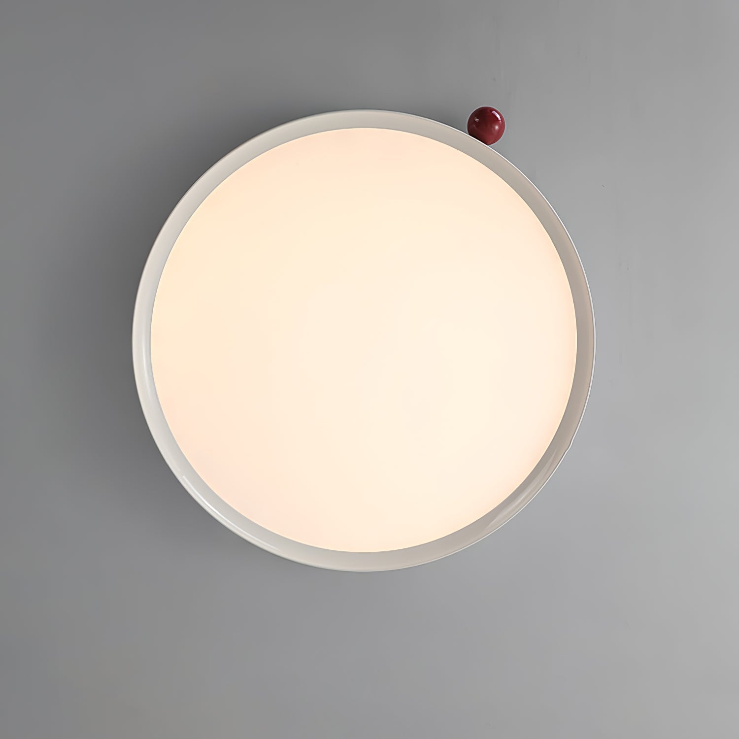 Myvelis Modern Minimalist Ceiling Lamp