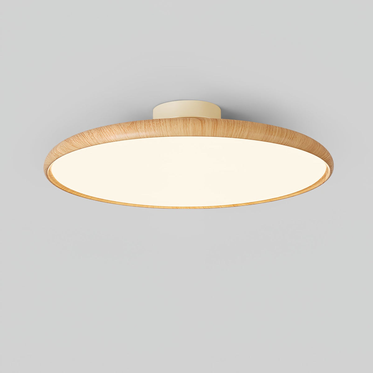 Ralemu Modern Minimalist Adjustable Ceiling Lamp