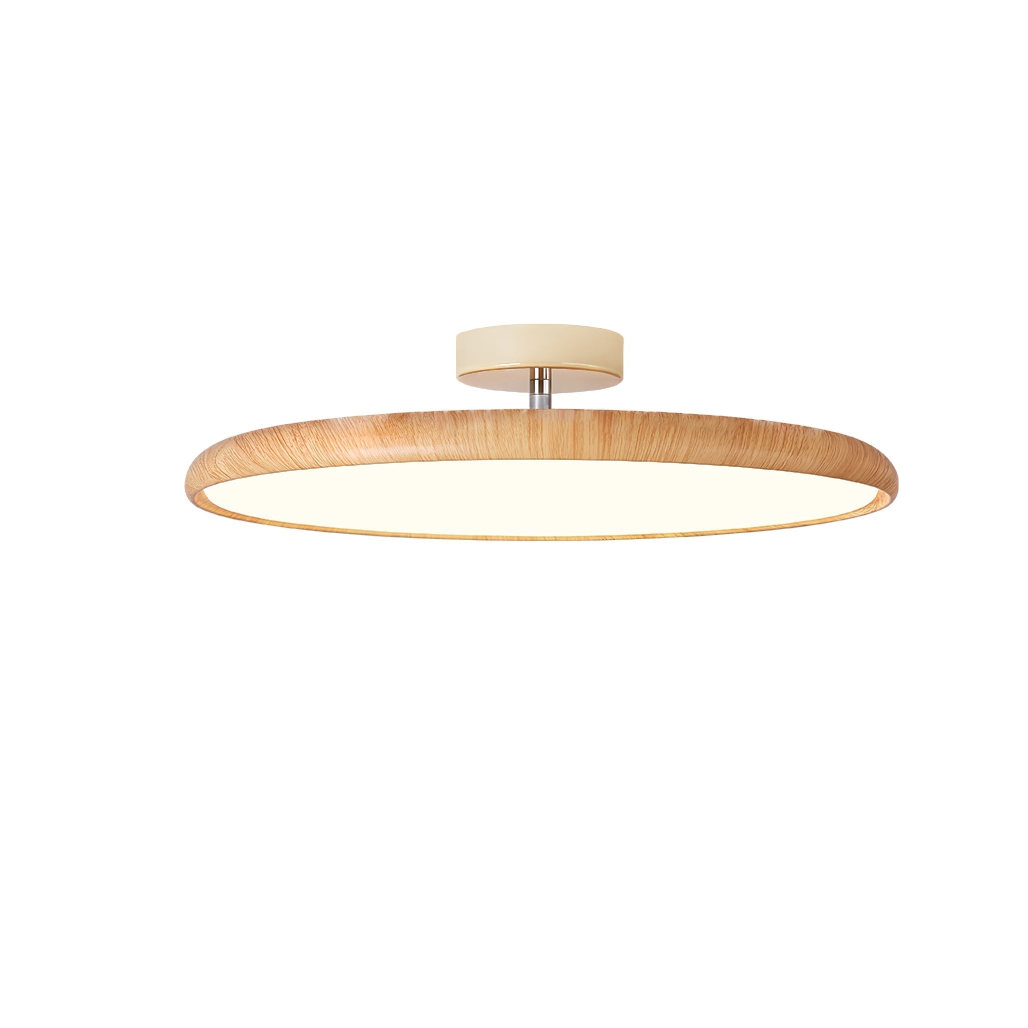Ralemu Modern Minimalist Adjustable Ceiling Lamp