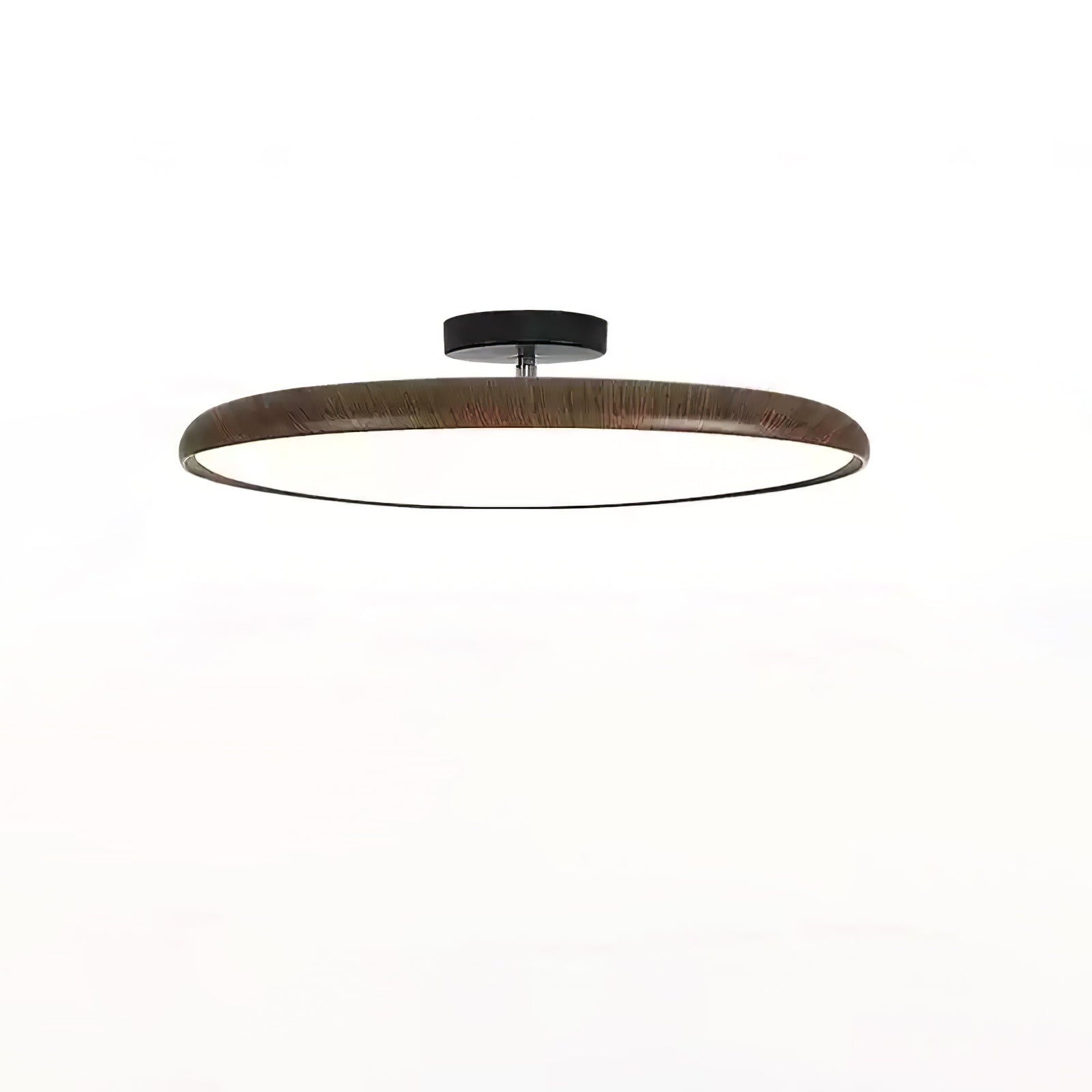 Ralemu Modern Minimalist Adjustable Ceiling Lamp