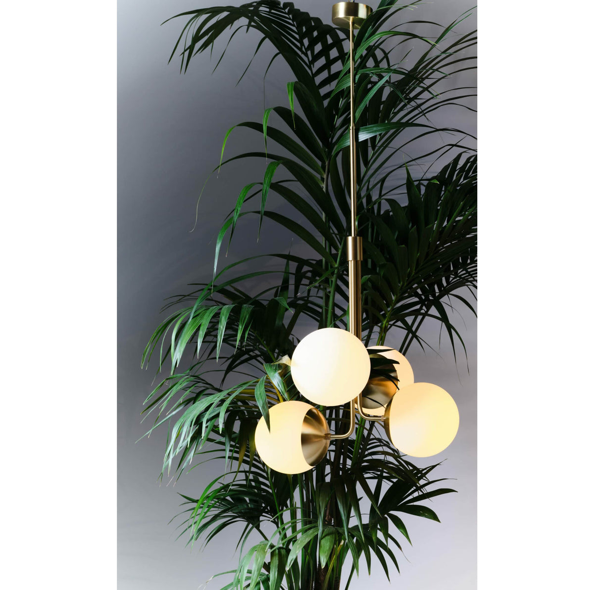 Noroira Chandelier