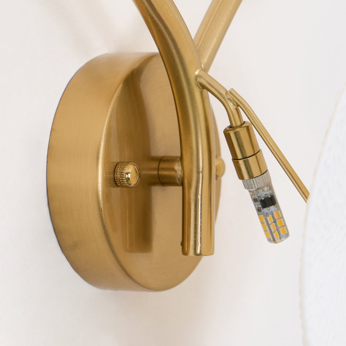 Fairhaven Lotus Petal Indoor Wall Light
