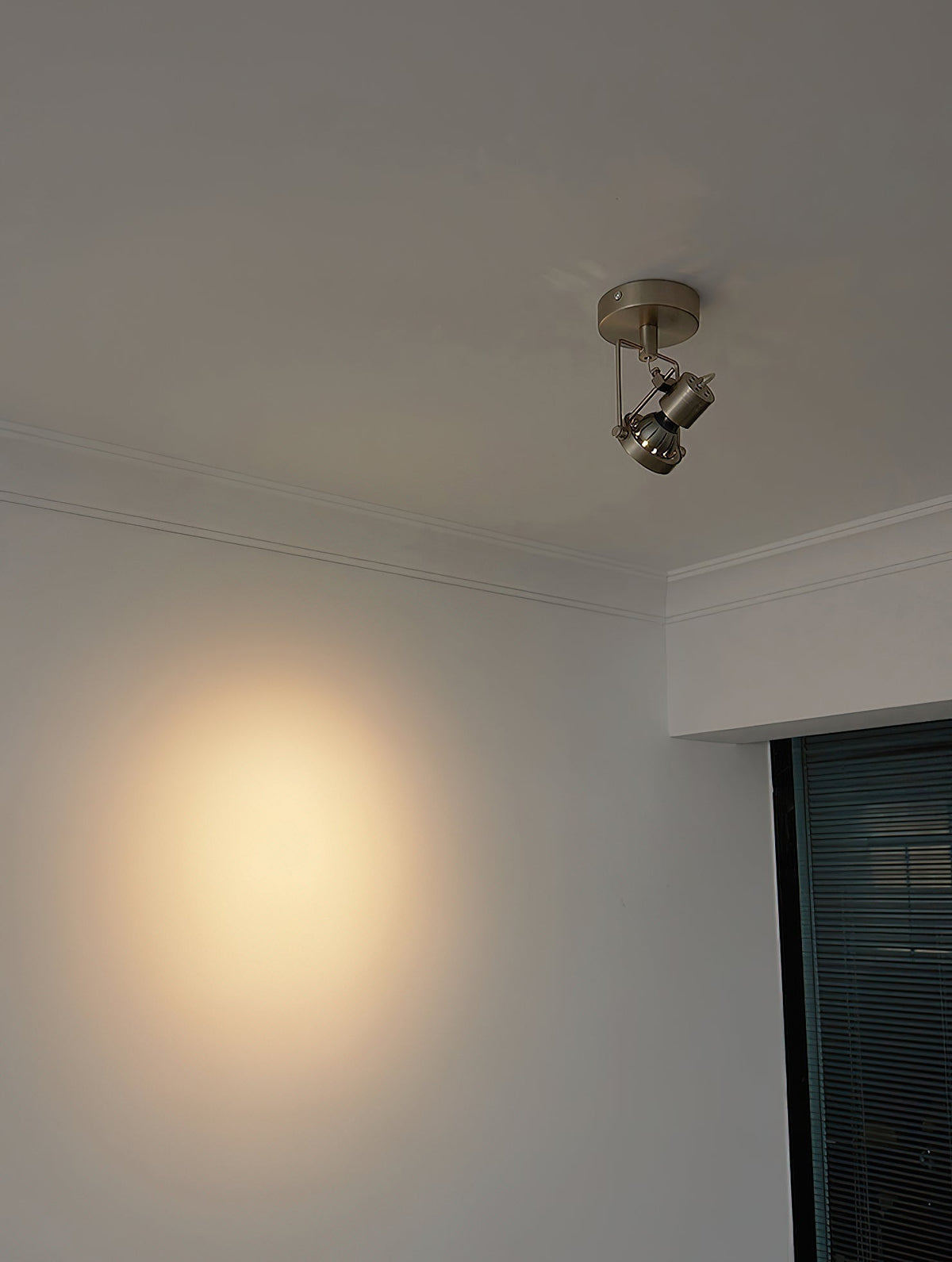 Keron Industrial Nickel Ceiling Lamp