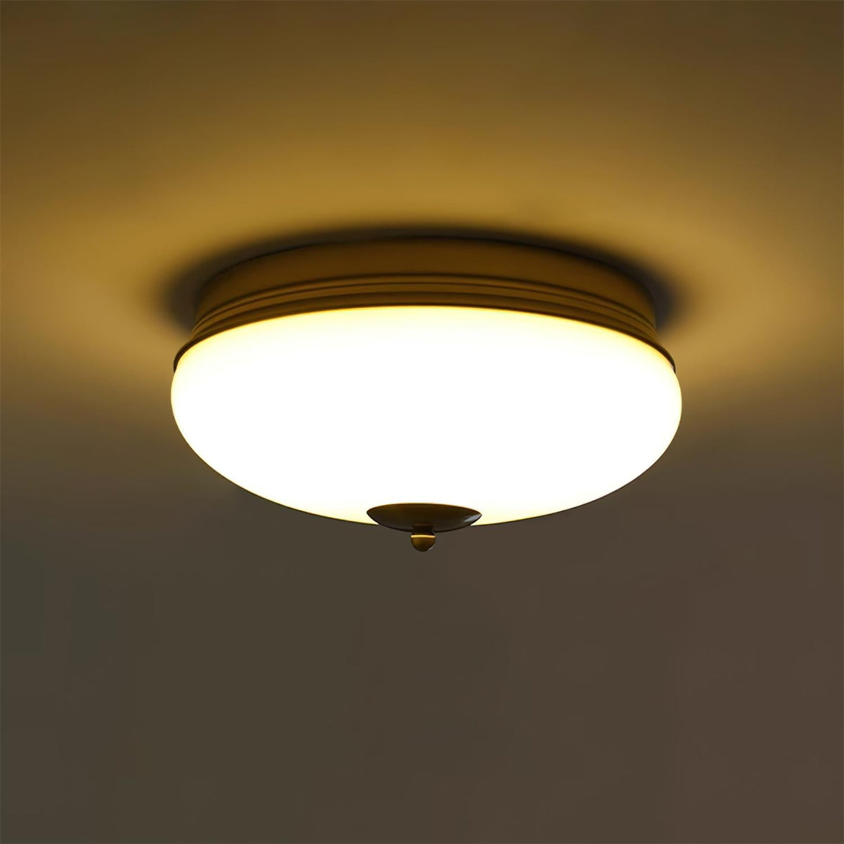 Elaalian Ceiling Light