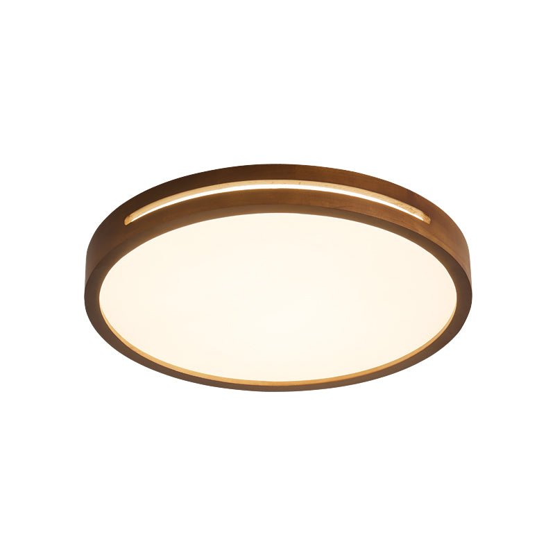 Vizoros Modern Minimalist Ceiling Light