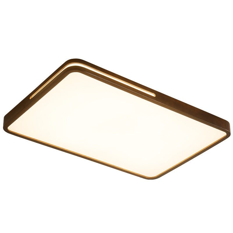 Vizoros Modern Minimalist Ceiling Light