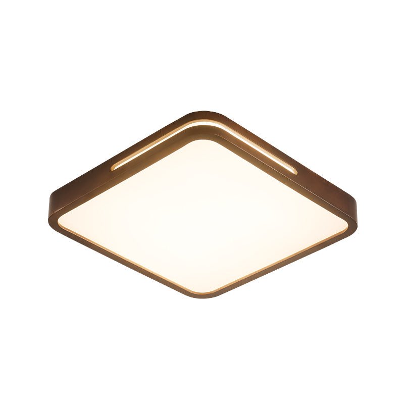 Vizoros Modern Minimalist Ceiling Light