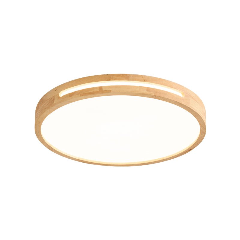 Vizoros Modern Minimalist Ceiling Light