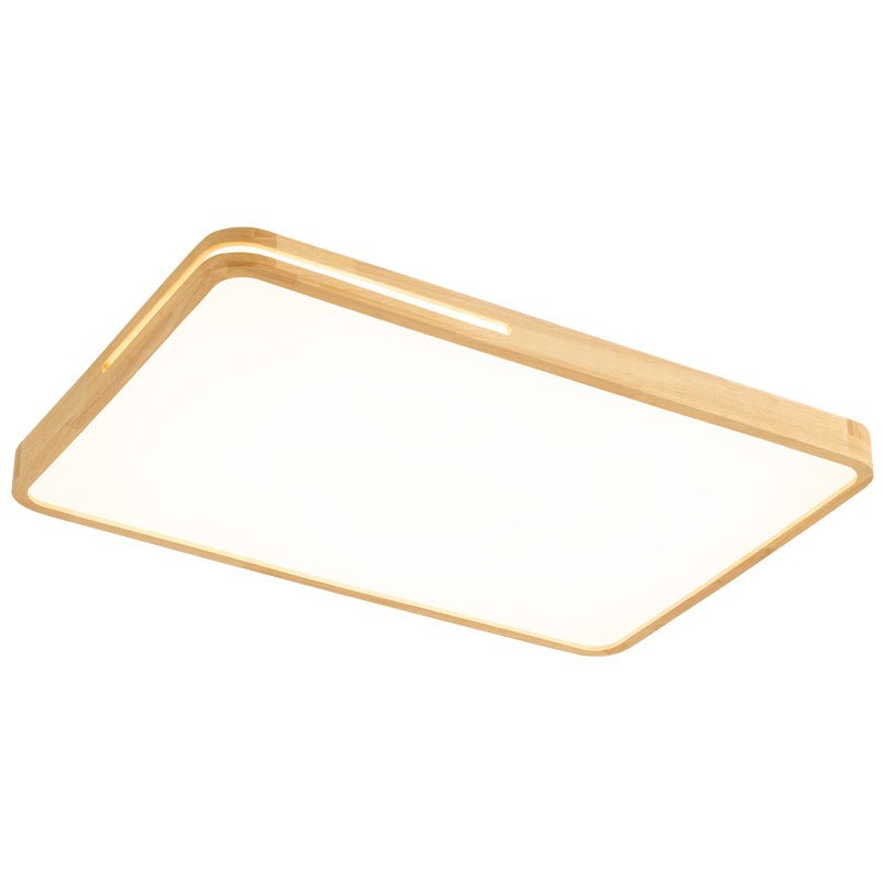 Vizoros Modern Minimalist Ceiling Light