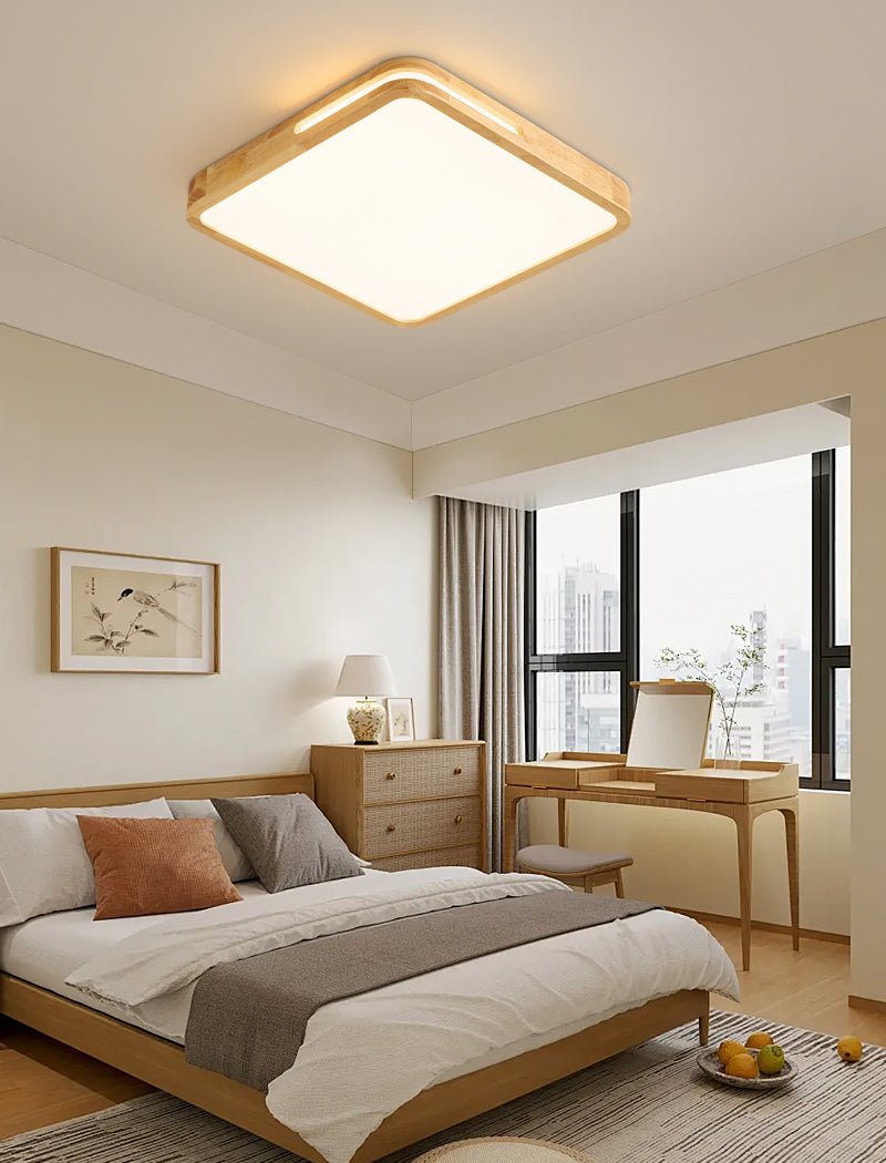 Vizoros Modern Minimalist Ceiling Light