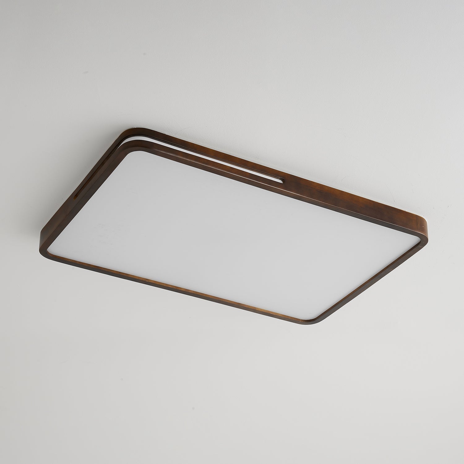 Vizoros Modern Minimalist Ceiling Light