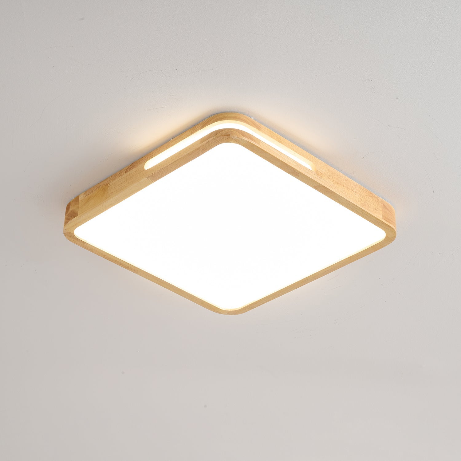 Vizoros Modern Minimalist Ceiling Light