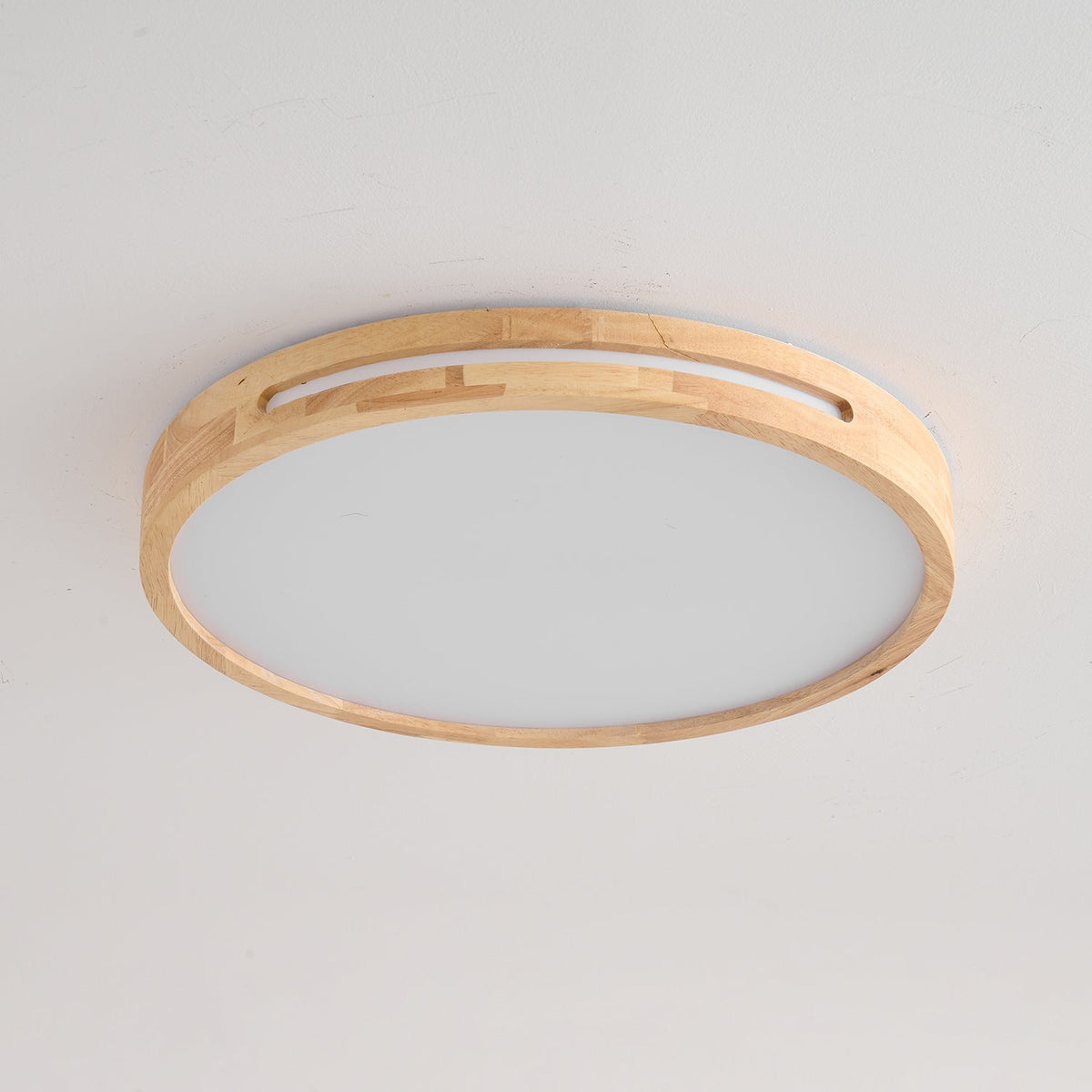 Vizoros Modern Minimalist Ceiling Light