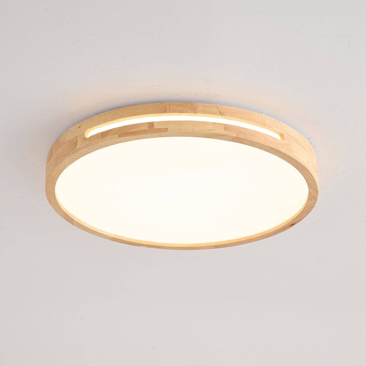 Vizoros Modern Minimalist Ceiling Light