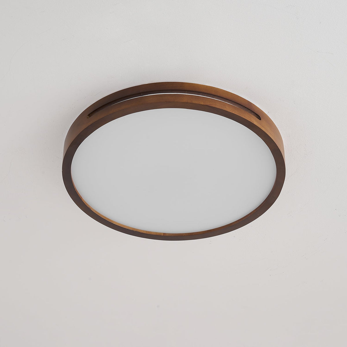 Vizoros Modern Minimalist Ceiling Light