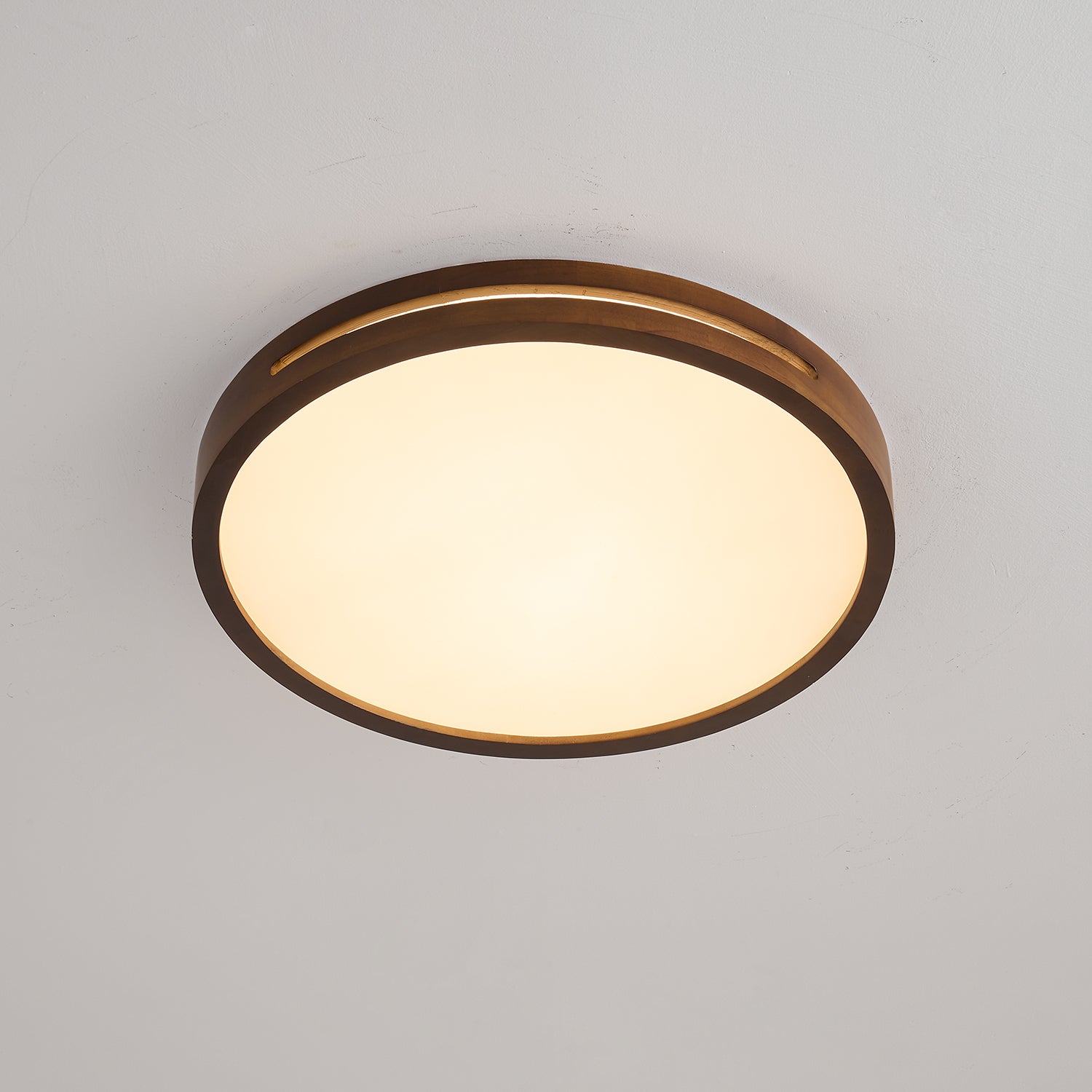Vizoros Modern Minimalist Ceiling Light