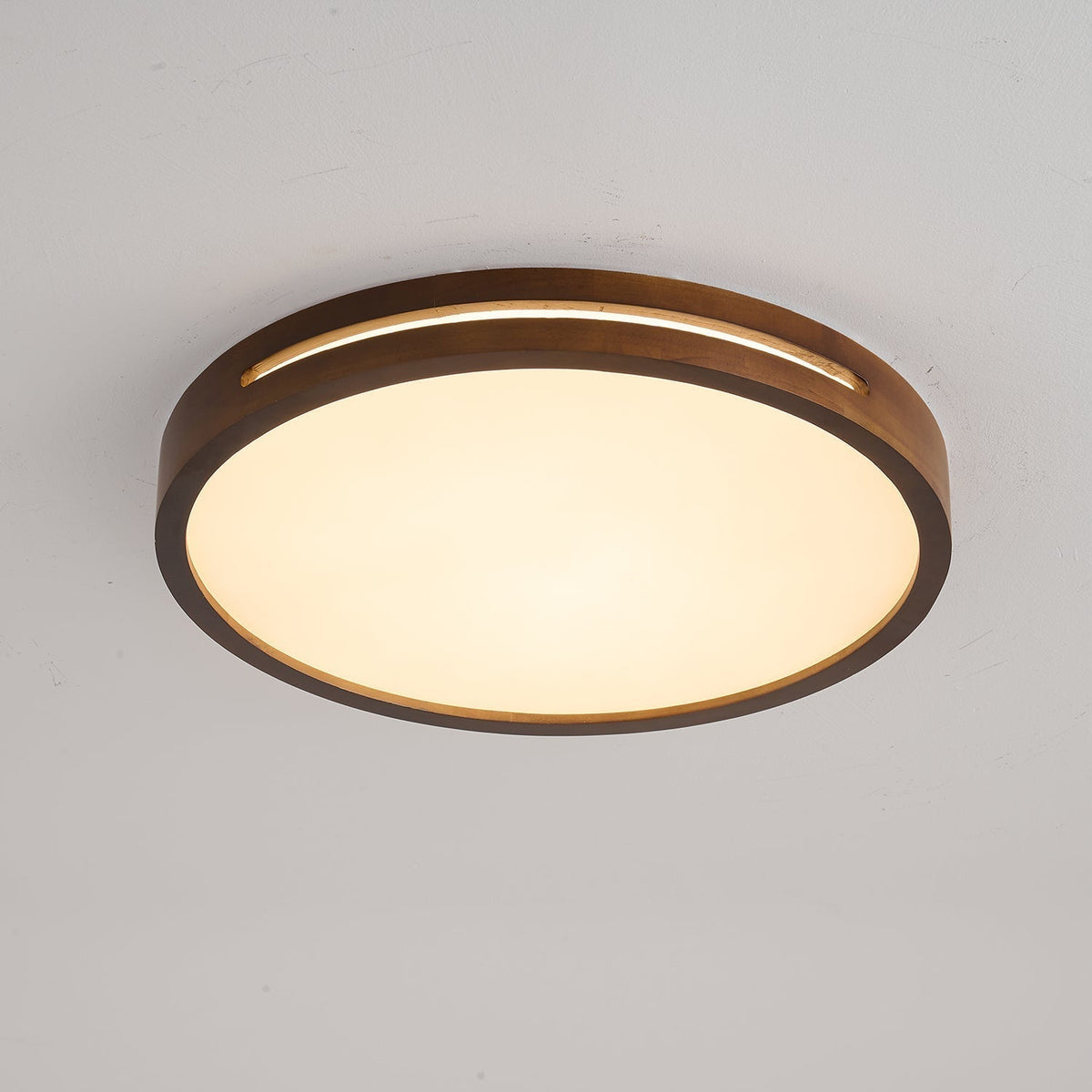Vizoros Modern Minimalist Ceiling Light