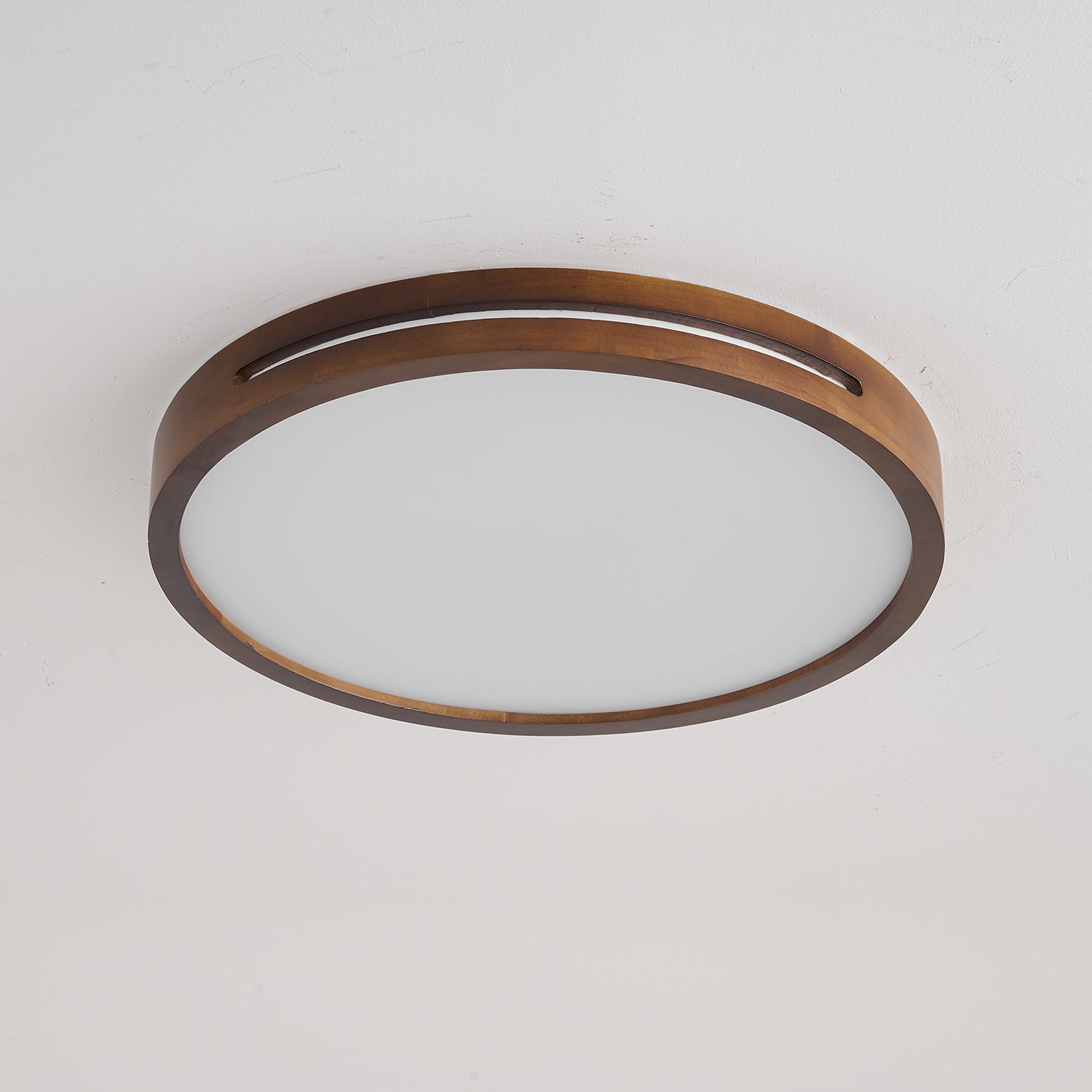 Vizoros Modern Minimalist Ceiling Light