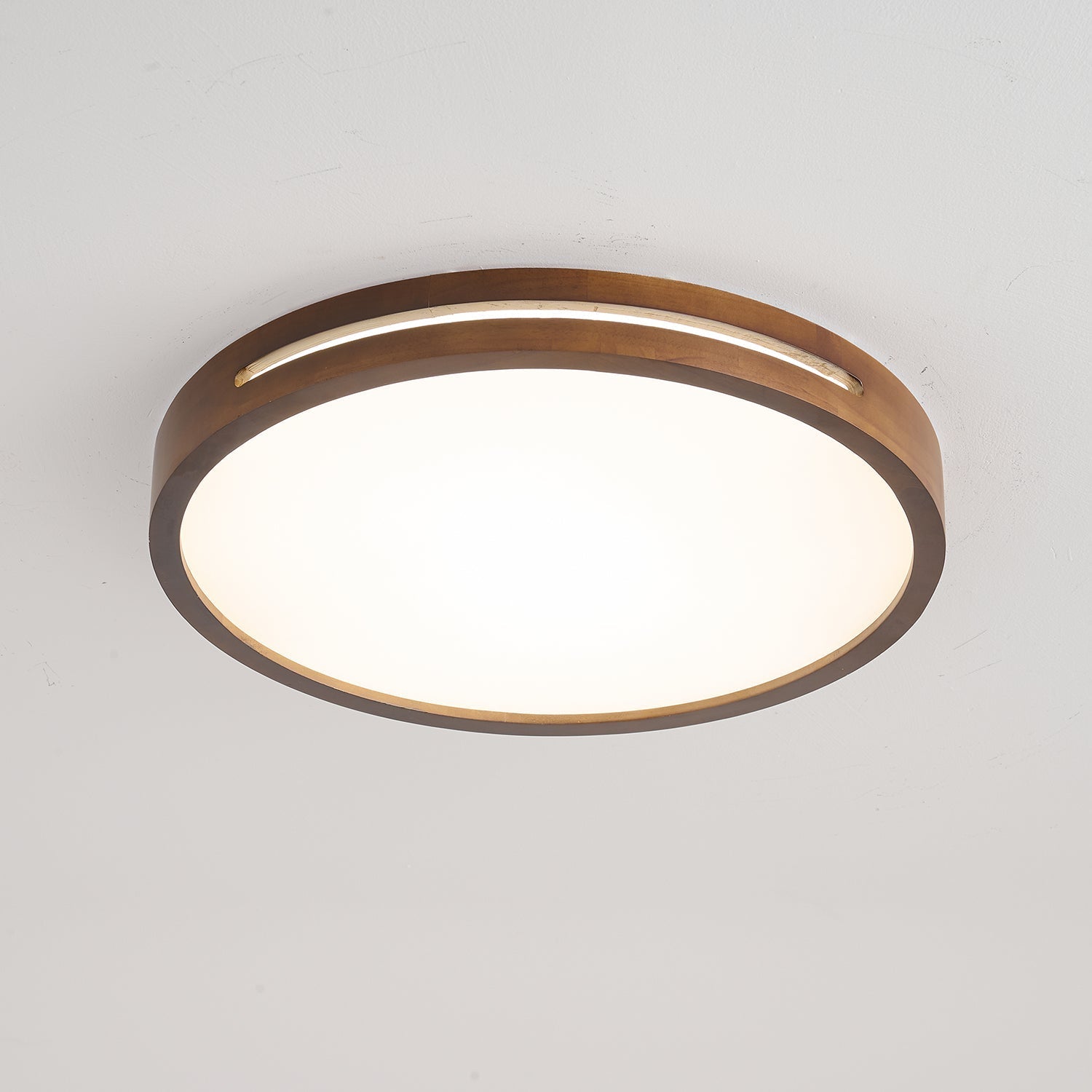 Vizoros Modern Minimalist Ceiling Light