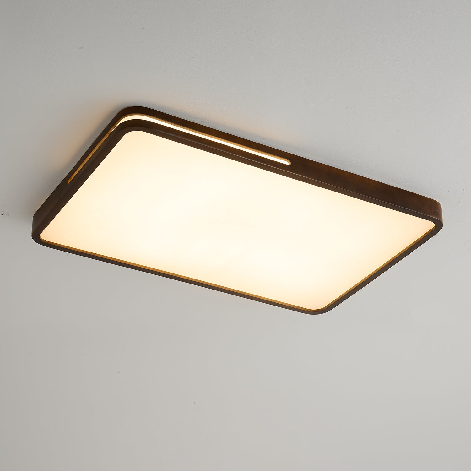 Vizoros Modern Minimalist Ceiling Light