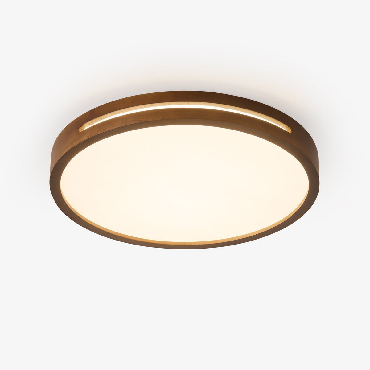 Vizoros Modern Minimalist Ceiling Light