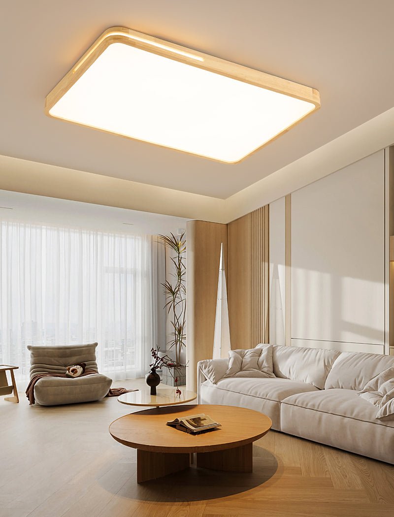 Vizoros Modern Minimalist Ceiling Light