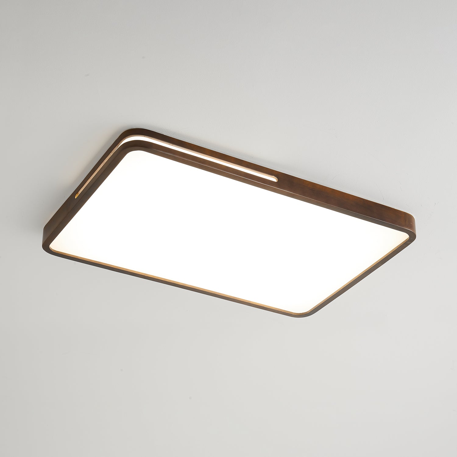 Vizoros Modern Minimalist Ceiling Light