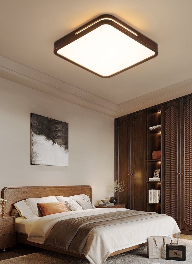 Vizoros Modern Minimalist Ceiling Light