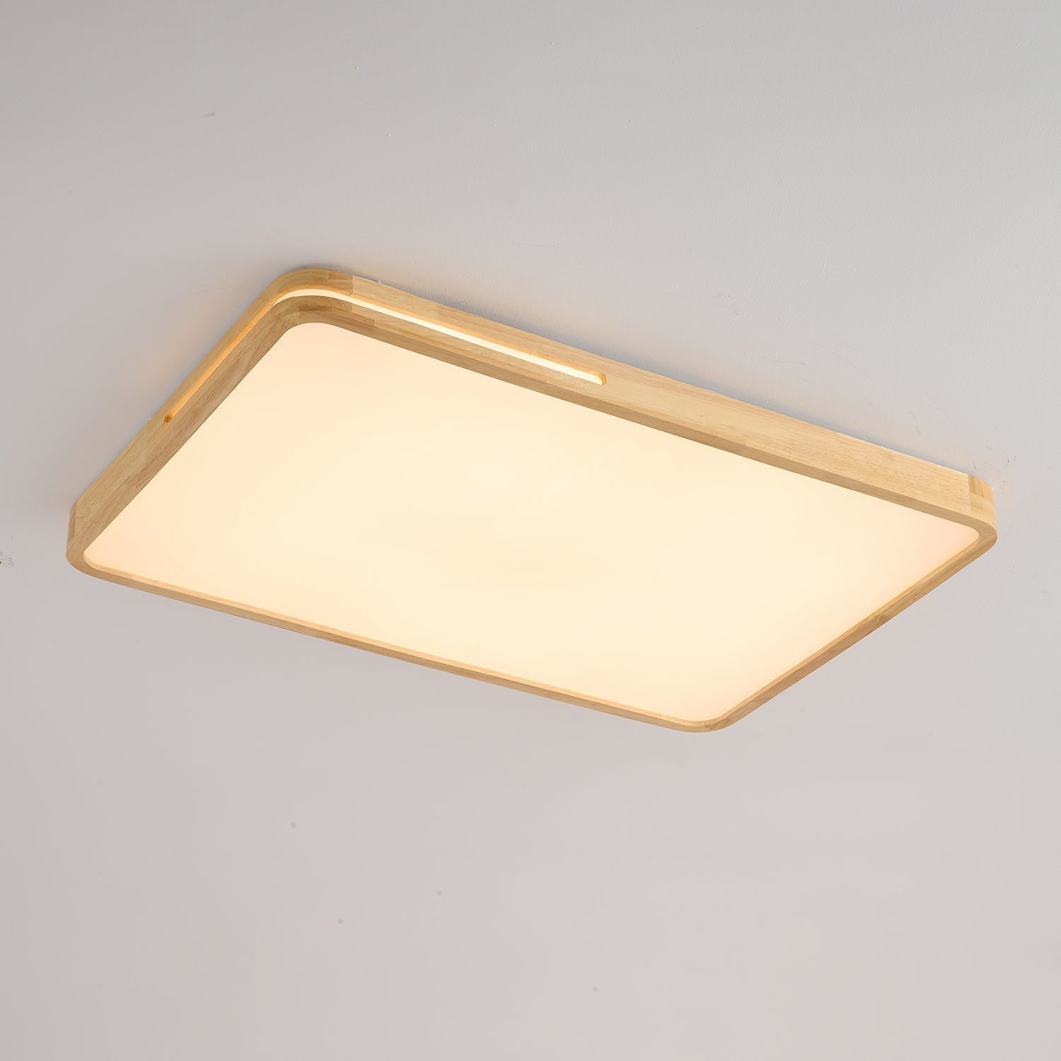 Vizoros Modern Minimalist Ceiling Light