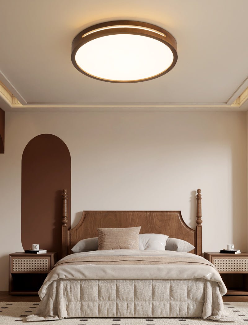Vizoros Modern Minimalist Ceiling Light
