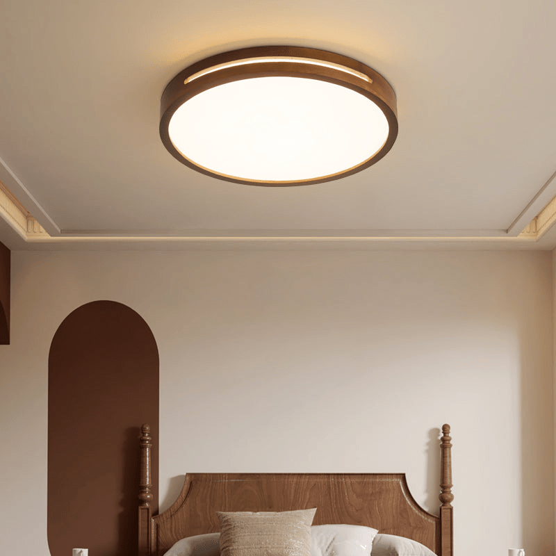 Vizoros Modern Minimalist Ceiling Light