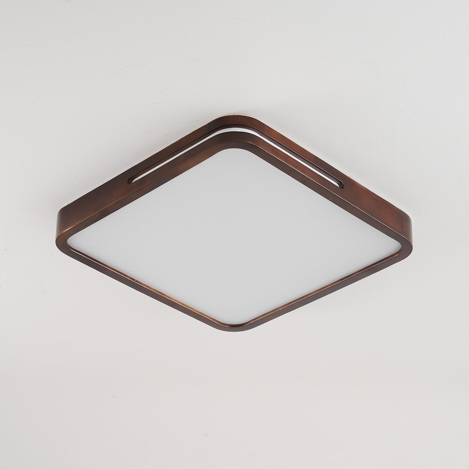 Vizoros Modern Minimalist Ceiling Light