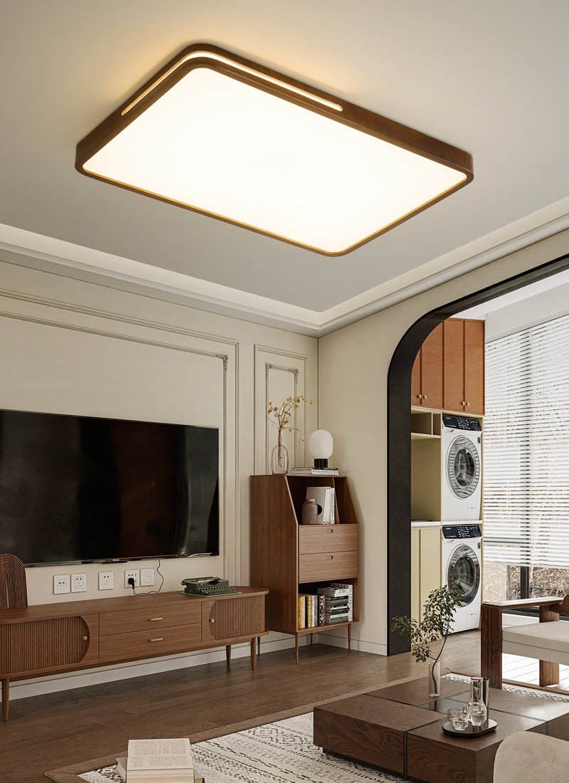 Vizoros Modern Minimalist Ceiling Light