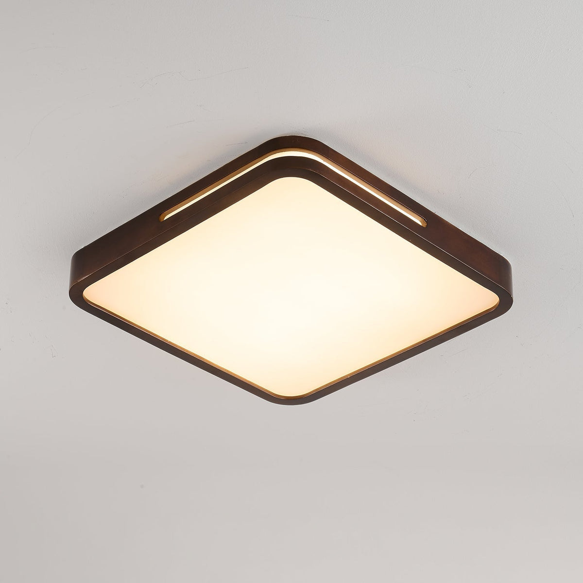 Vizoros Modern Minimalist Ceiling Light