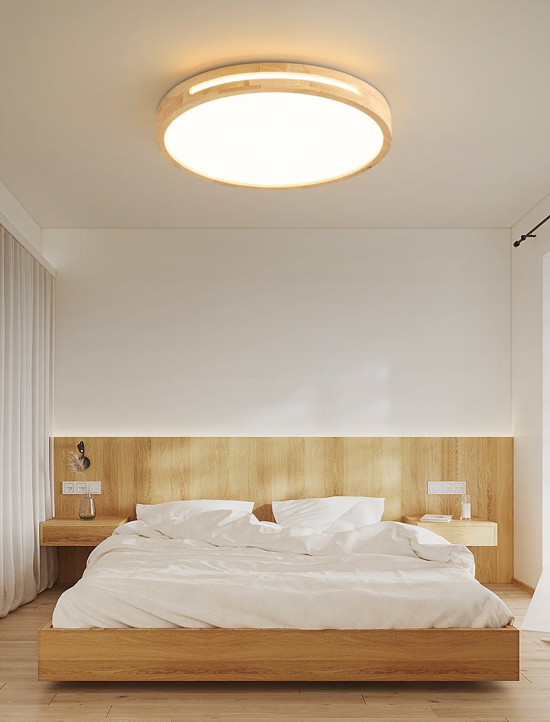 Vizoros Modern Minimalist Ceiling Light